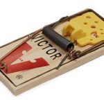 mousetrap