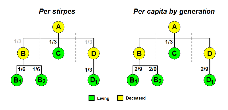 File:Comparison of per stirpes and per capita inheritance.PNG