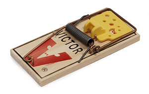 English: A Victor brand mousetrap. This is uns...