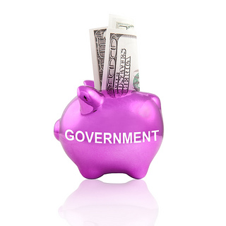 Government Piggy Bank