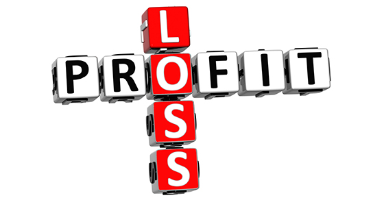 Profit Loss crossword puzzle